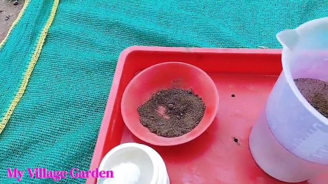 गर्मी के तपती धूप से प्लांट को कैसे बचाएं/How To Save Your Plants In Summer/My Village Garden смотреть онлайн
