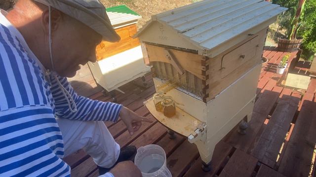 ОПЯТЬ сливаем МЕД из АВСТРАЛИЙСКОГО УЛЬЯ - collecting honey again from Australian flow hive - 139 смотреть онлайн