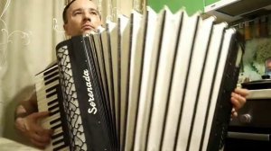 Сергей Наговицын - Городские встречи ("Золоткой упала с неба звезда..." на аккордеоне, инструментал