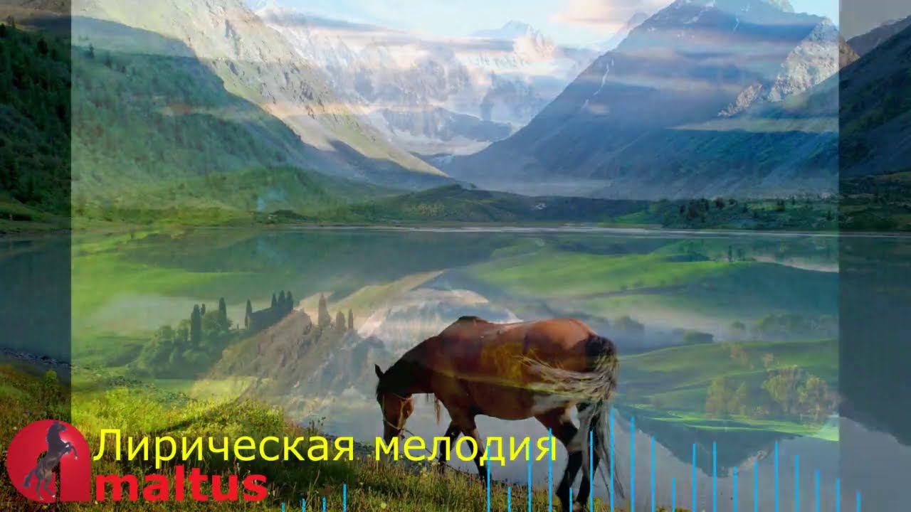 Гухэлъ къафэхэр [Amaltus] смотреть онлайн