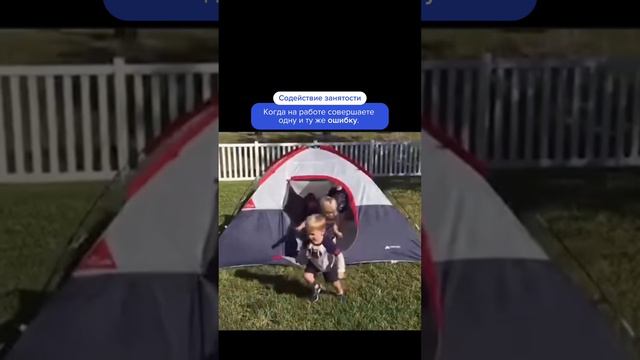 Бесплатное обучение|Содействие занятости