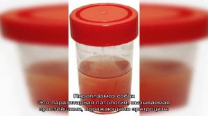 Почему у собаки кровь в моче?