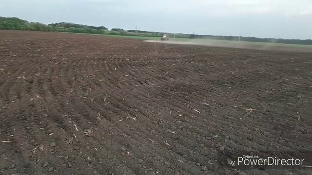 Сеем три гибрида подсолнечника. Снова будет эксперимент и наблюдения. смотреть онлайн