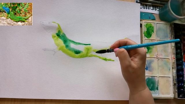 Как нарисовать ящерицу акварелью. 1 часть смотреть онлайн