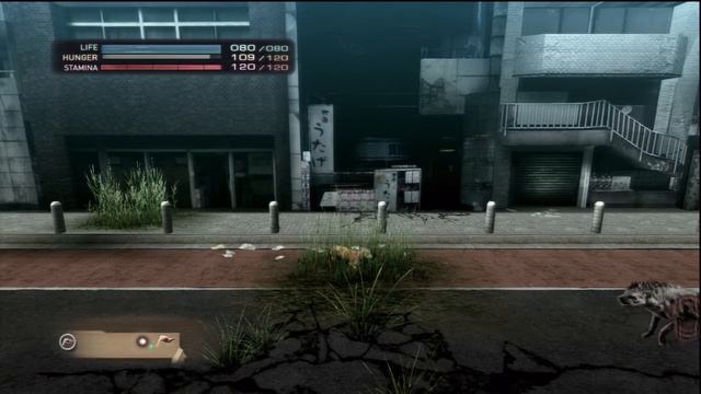 Tokyo Jungle - Survival Part 1 - Tutorial смотреть онлайн