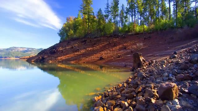 Listen to: Read the Bible in a Year, Day 179 (Psalm 141 - 150) смотреть онлайн