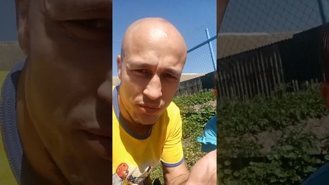 Нашли маленьких МЫШАТ! И что с ними делать? смотреть онлайн
