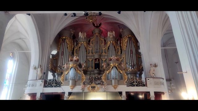 Орган. Калининград. Кафедральный Собор. смотреть онлайн