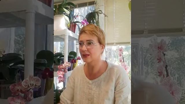 Подростки орхидей - азиаты. Адаптация после получения смотреть онлайн