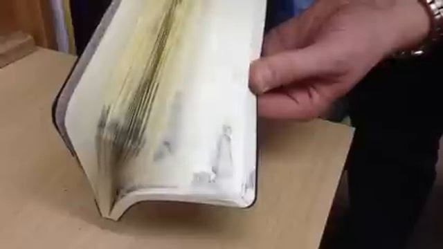 Evolution To Groove Animated Notebook смотреть онлайн