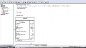 Результаты расчета описательных статистик в SPSS