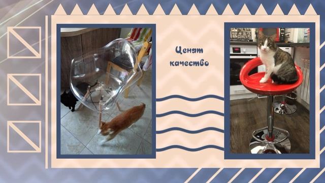 Отзывы клиентов о мебели BarneoPro™ (оригинальные фото) смотреть онлайн