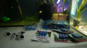 Аэрацыя в Аквариуме и комплектующие:кран распылитель,обратный клапан