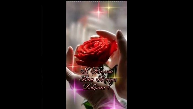🌹*|ДОБРЫЙ ВЕЧЕР |Радости, мудрости, здоровья| смотреть онлайн