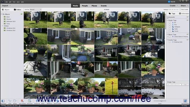 Learn How to Create Keyword Tags in Adobe Photoshop Elements 2023: A Training Tutorial смотреть онлайн
