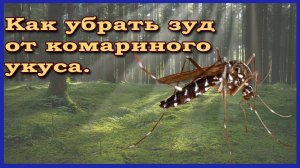 Как Избавиться От Зуда Укуса Комара. Как Не Чесать Укус Комара