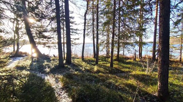 Поход на Ижмозеро 21.10-22.10.22 смотреть онлайн