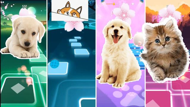 Cute Dog Imagine Dragons Bones vs Bongo Dog vs Marshmello Gacha Life vs Lady Gaga Bloody Mary смотреть онлайн