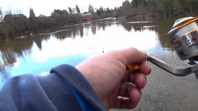 Рыбалка на поплавок! Весенний жор Попал на раздачу! смотреть онлайн