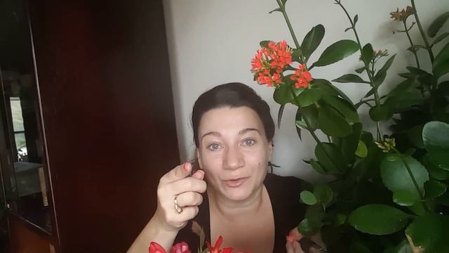 США. Сколько плачу за интернет? Мой "ЗОЛОТОЙ МОДЕМ." смотреть онлайн