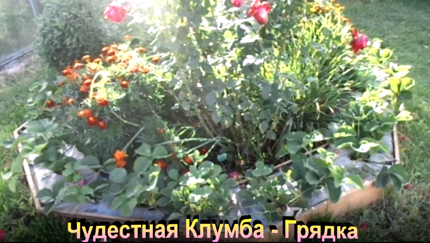 "проект клумбы - грядки" #Огород #Сад #Дача смотреть онлайн