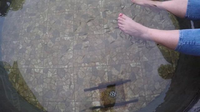 Бэйдайхэ.Санаторий "Отличник Труда"(часть 2).сентябрь 2019 год смотреть онлайн