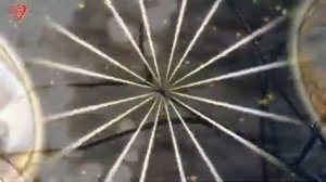 Очень красивая песня, А НАМ СЕГОДНЯ 60, Автор Юрий Сулоев.