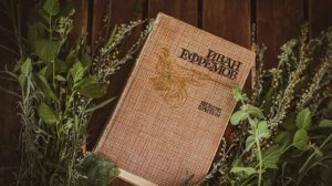 Иван Ефремов «Лезвие бритвы» - Часть 1 КОРНИ ГНЕВА. Глава 1 АННА