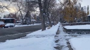 Показываю наш район в Калгари и как живут люди в Канаде.