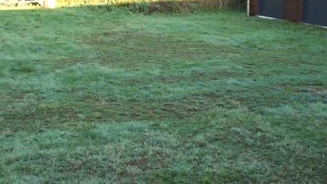 Sony Sr100 30gb HDD camcorder test. смотреть онлайн