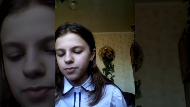 Ветеринарный паспорт для кошек/Как оформить? смотреть онлайн