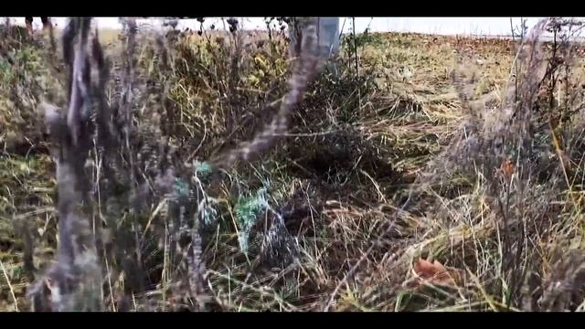 Как сделать ЛамбоДвери в жигули бесплатно! Тюнинг жигулей за 0 рублей