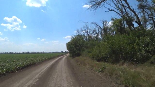В поисках мёда ч 4 смотреть онлайн