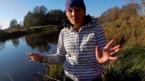 Река Салаца Осенняя плотва Отличный клёв Кто всплывает из воды?