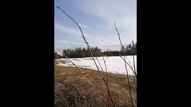Elämän kevät 2021 смотреть онлайн
