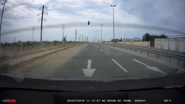 Голубь Убийца смотреть онлайн