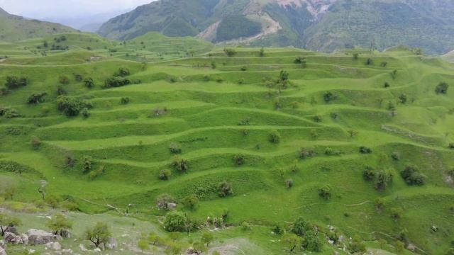 Село Чох. Вид на зелёные террасы смотреть онлайн
