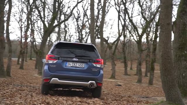 Subaru Forester e-BOXER Hybrid test sürüşü | En az yakan Subaru bu mu? смотреть онлайн