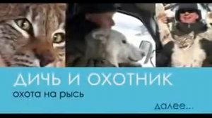 Охота на рысь