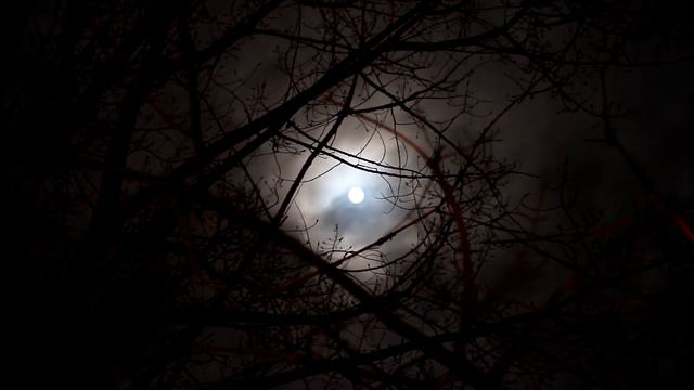 "Horrible rental house, happy to be alive | Don't make my mistake" Creepypasta смотреть онлайн