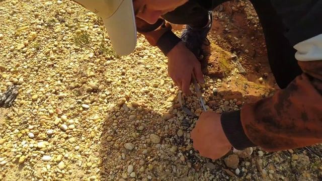 gurumelos 2021 смотреть онлайн