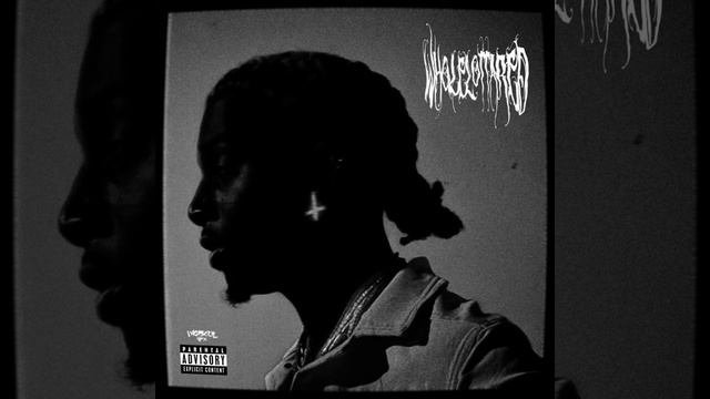 Playboi Carti x Lil Uzi Vert x 21 Savage type beat "No Lie" смотреть онлайн