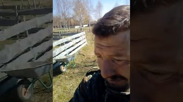 Осиновые столбы на 15 лет . смотреть онлайн