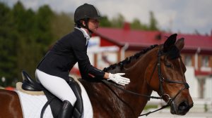 Утренний корреспондент выясняла, что такое конкур, выездка и выездка на лошадях до 150 см в холке