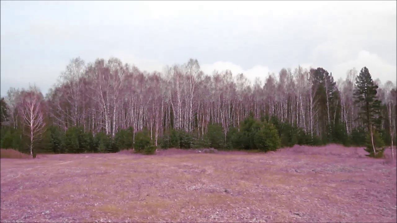 Сибирь. Прогулка по деревне. Первый снег. Пахнет зимой. смотреть онлайн