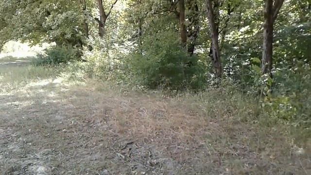 ?Шапошникова поляна.Где она и как выглядит? Горячий Ключ. смотреть онлайн