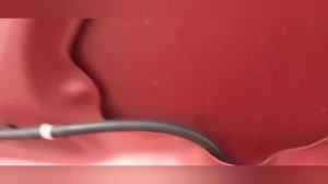 Замена Форсунки Омывателя Лобового Стекла на Киа Сид