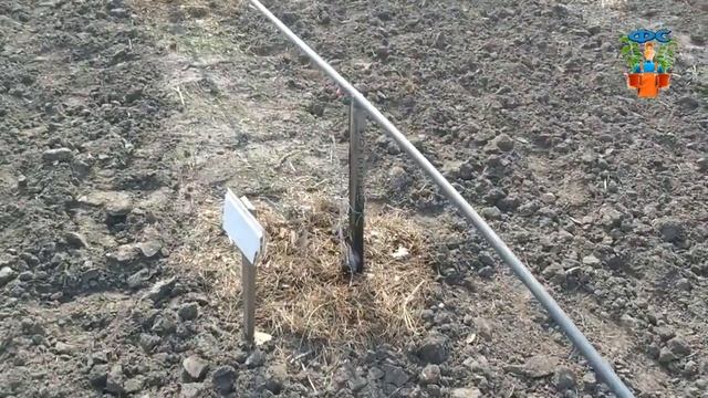 Система капельного полива часть 3 | полив в саду смотреть онлайн