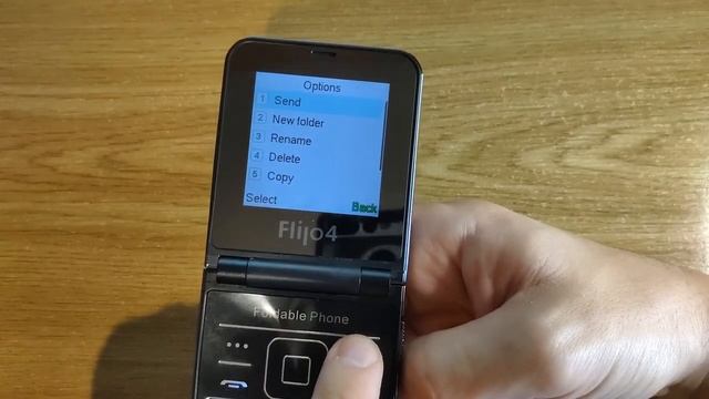 Servo Flilo Flip4. Китайский Samsung Flip4. Детальный обзор.