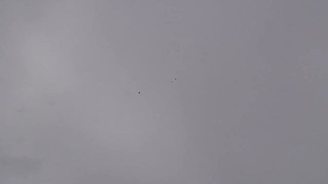 Полет СВГ без "потолка" 24 02 2021 г смотреть онлайн